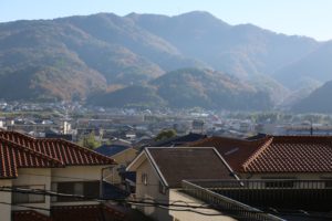 田舎風景の写真